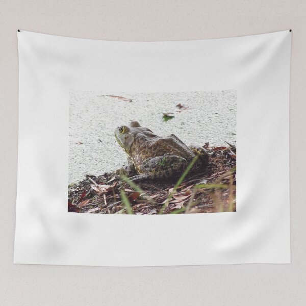 Item preview, American Bullfrog designed and sold by MercerImages.