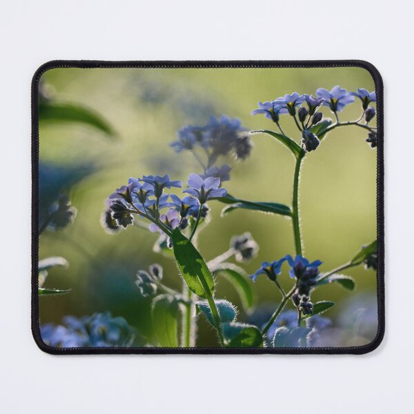 Item preview, Green space. Woodland forget-me-not designed and sold by Jouko Lehto Photography.