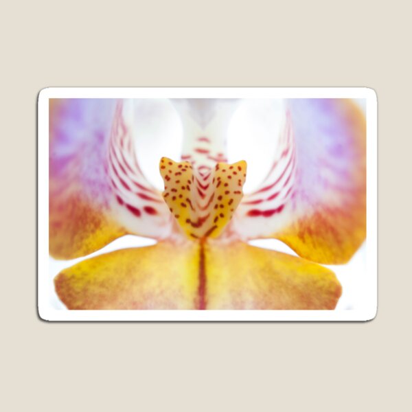 Spotted Orchid's Center Magnet