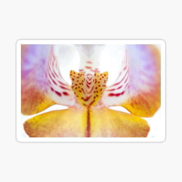Spotted Orchid's Center Sticker