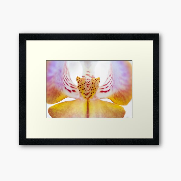 Spotted Orchid's Center Framed Art Print