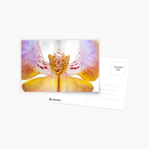 Spotted Orchid's Center Postcard