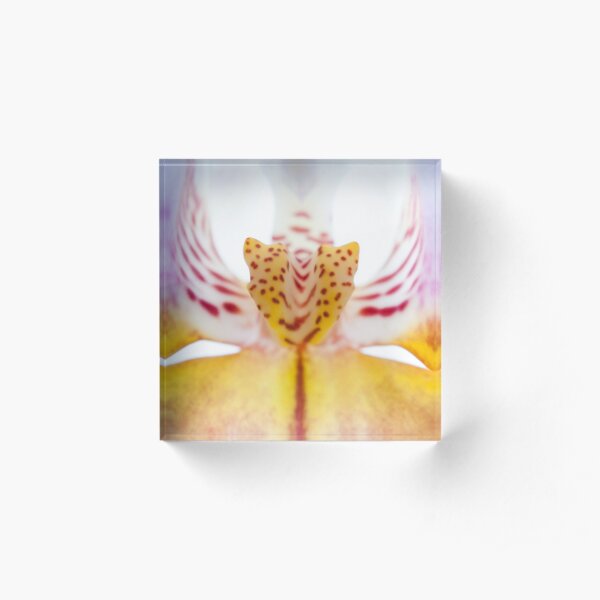 Spotted Orchid's Center Acrylic Block