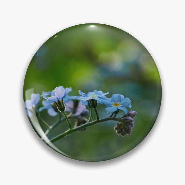 Item preview, Woodland forget-me-not minimalistic designed and sold by Jouko Lehto Photography.