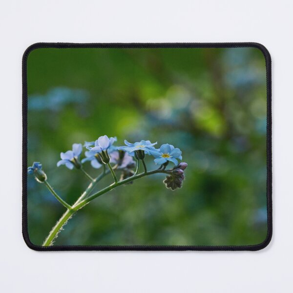 Item preview, Woodland forget-me-not minimalistic designed and sold by Jouko Lehto Photography.