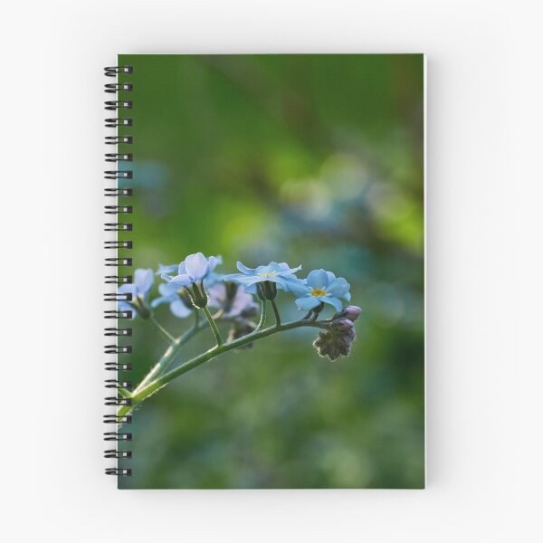 Item preview, Woodland forget-me-not minimalistic designed and sold by Jouko Lehto Photography.