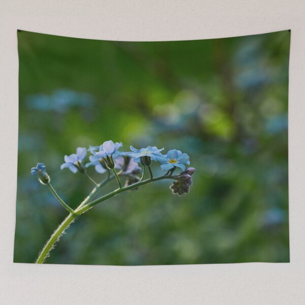 Item preview, Woodland forget-me-not minimalistic designed and sold by Jouko Lehto Photography.