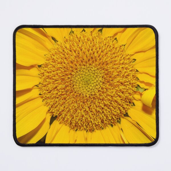 Item preview, Beautiful sunflower designed and sold by Jenny  Dyer.