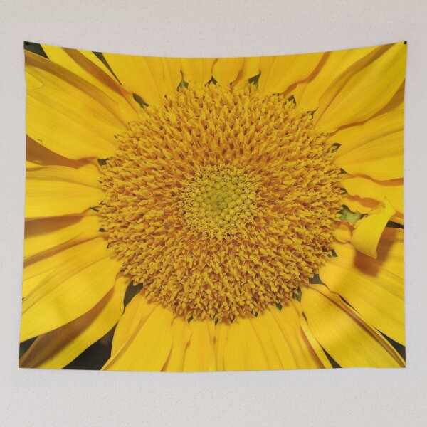Item preview, Beautiful sunflower designed and sold by Jenny  Dyer.
