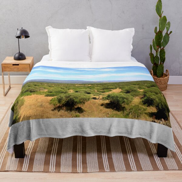 Item preview, Olive groves in Campidano designed and sold by annalisa56.