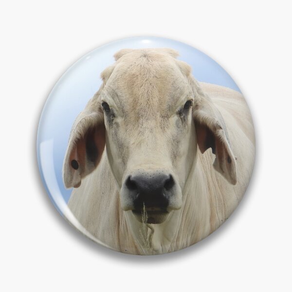 Item preview, Cows in the paddock designed and sold by Jenny  Dyer.