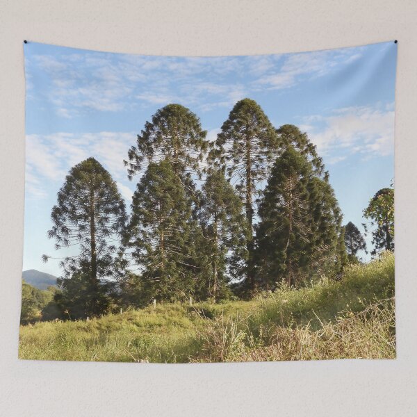 Item preview, Bunya trees over one hundred years old. designed and sold by Jenny  Dyer.
