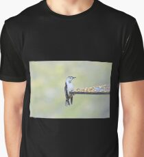 Nuthatch Graphic T-Shirt