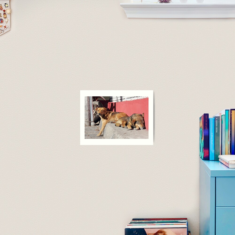 Two dogs relaxing on a city street, Guamote, Ecuador Art Print