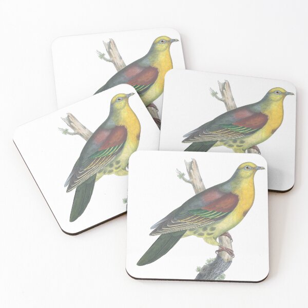 Item preview, Sphenocercus Cantillans Vintage Dove Color Lithograph designed and sold by ElegantTeaTime.