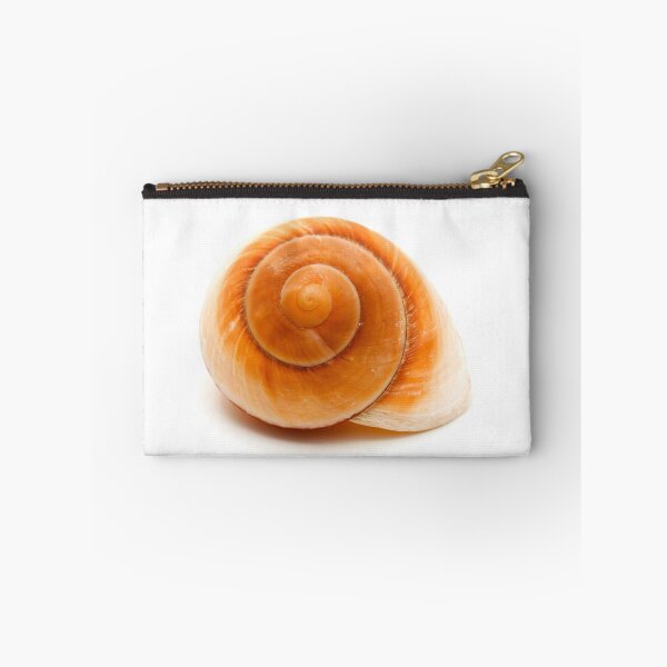 Item preview, Seashell designed and sold by troianifabrizio.