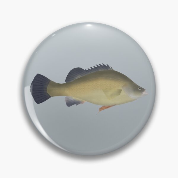 Item preview, Golden Perch designed and sold by fishfolkart.