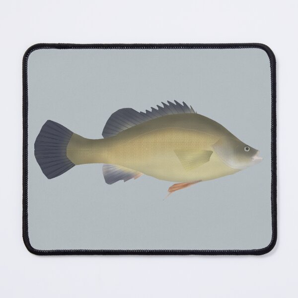 Item preview, Golden Perch designed and sold by fishfolkart.