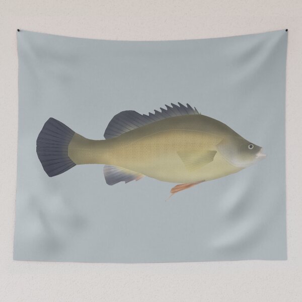 Item preview, Golden Perch designed and sold by fishfolkart.