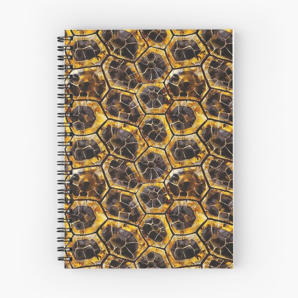 Item preview, Tortoise shell designed and sold by MidArtForge.