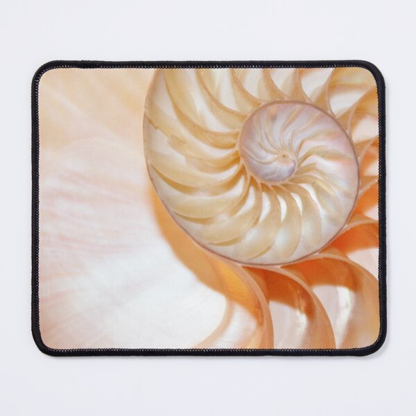 Item preview, shell Nautilus shell fibonacci golden ratio background designed and sold by cheekylorns.