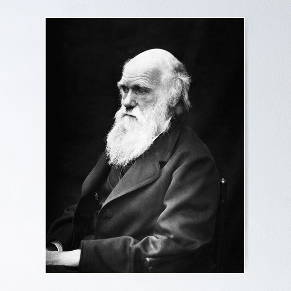 Item preview, Charles Darwin designed and sold by romeobravado.