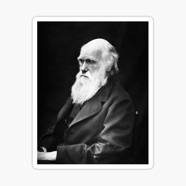 Item preview, Charles Darwin designed and sold by romeobravado.