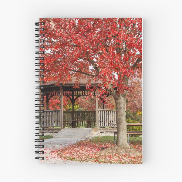 Aperçu de l'œuvre paysage d'automne créée et vendue par FlyingLilly.