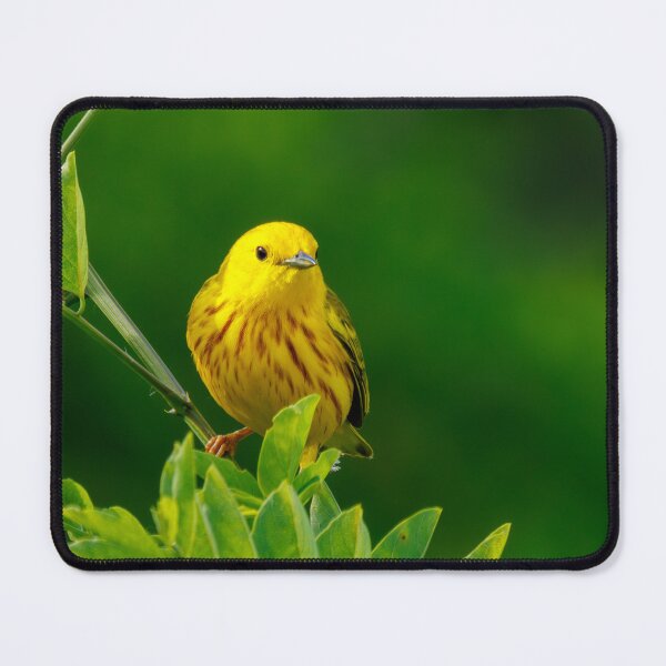 Item preview, Yellow Warbler designed and sold by FlyingLilly.