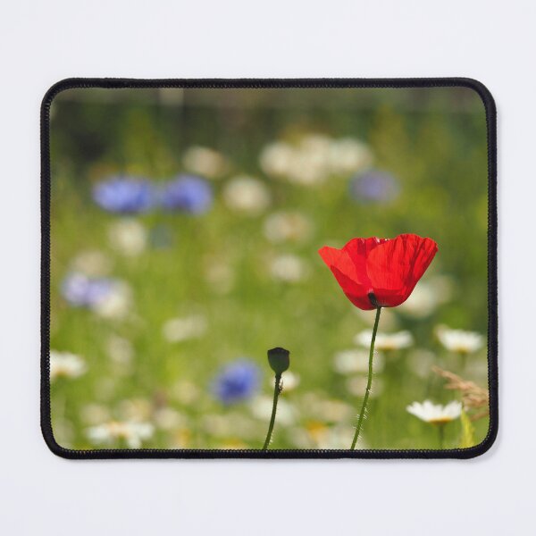 Item preview, Summer meadow designed and sold by woolcos.