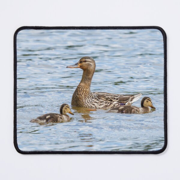 Item preview, Proud momma mallard and ducklings designed and sold by FlyingLilly.