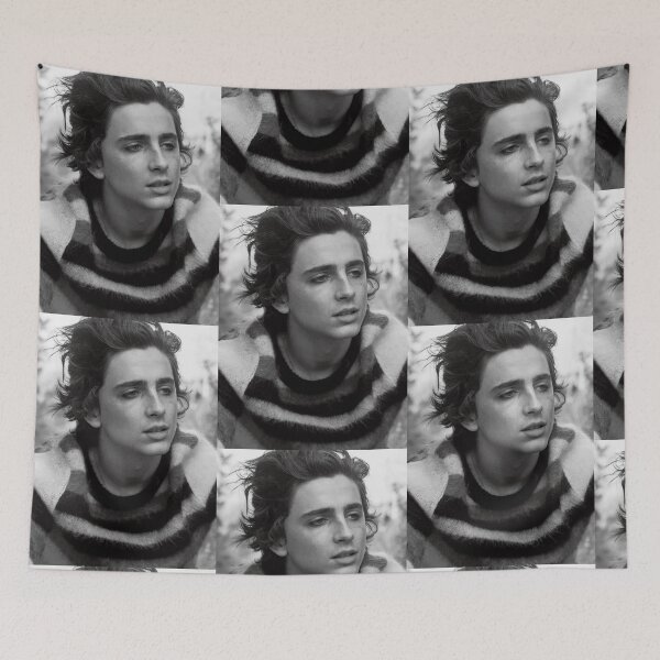 Aperçu de l'œuvre Timothée Chalamet créée et vendue par Phoebemorritt.