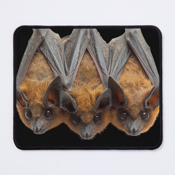 Item preview, Photorealistic Cute Brown Bats Hanging Upside Down designed and sold by HollywoodInked.