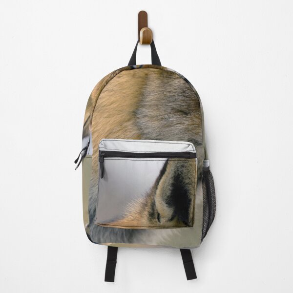 Item preview, Red Fox designed and sold by Tom McPherson Photography.
