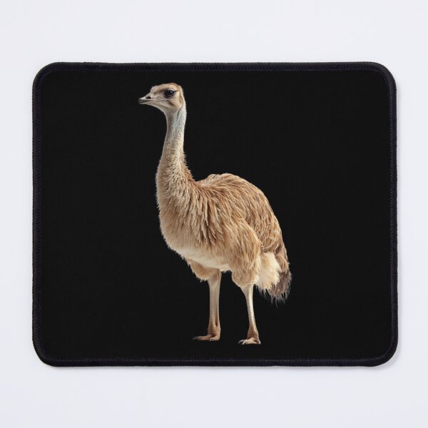 Item preview, Photorealistic Ostrich Bird designed and sold by HollywoodInked.