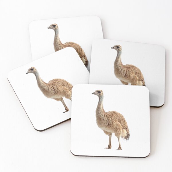 Item preview, Photorealistic Ostrich Bird  designed and sold by HollywoodInked.