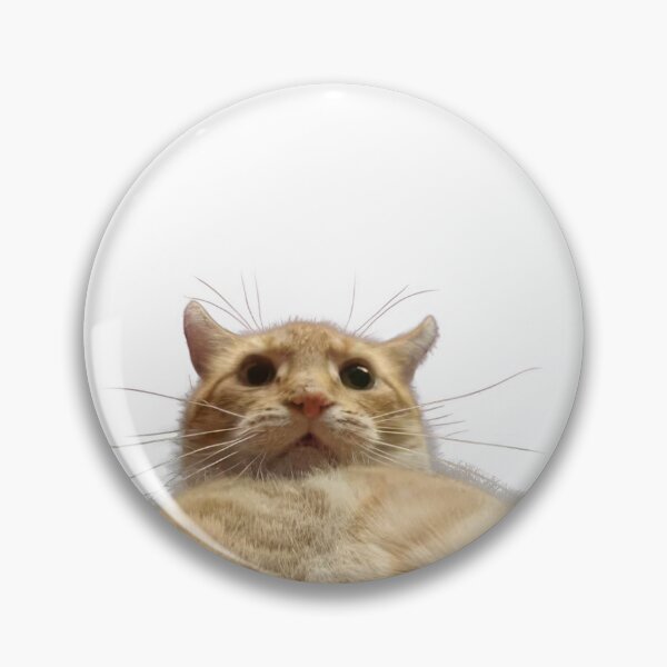 Item preview, cat selfie meme designed and sold by cosmicallyavg.
