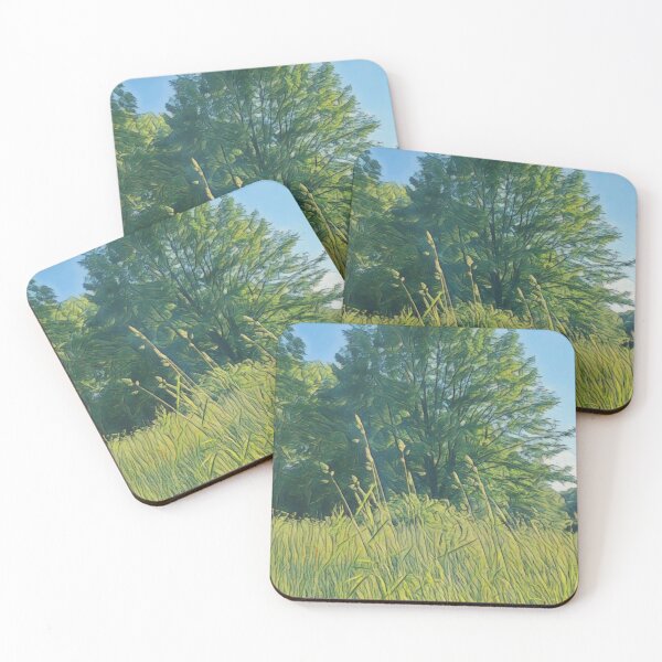 Item preview, #28 Rembrandt Park - Amsterdam Street Photography 22 May 2024 designed and sold by IntFix.