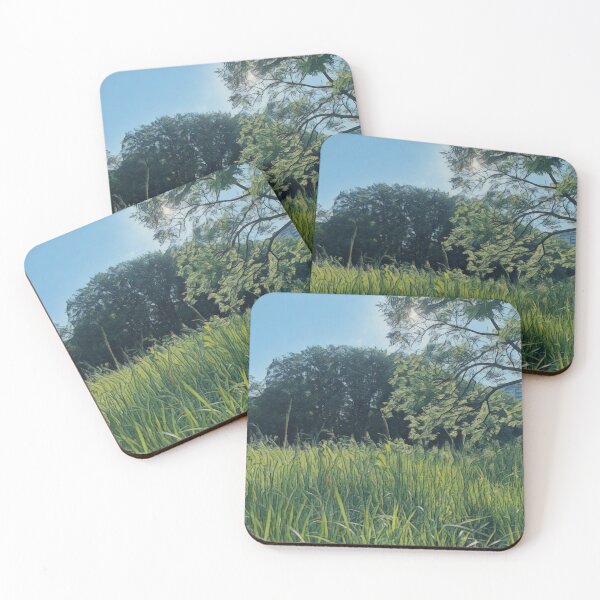 Item preview, #29 Rembrandt Park - Amsterdam Street Photography 22 May 2024 designed and sold by IntFix.
