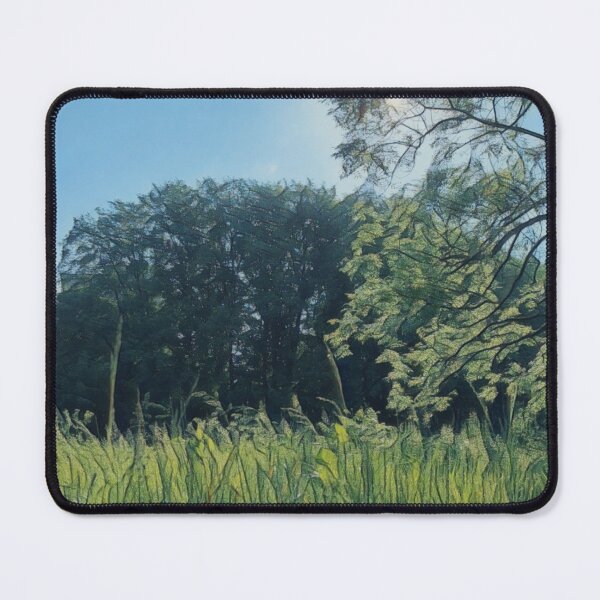 Item preview, #29 Rembrandt Park - Amsterdam Street Photography 22 May 2024 designed and sold by IntFix.