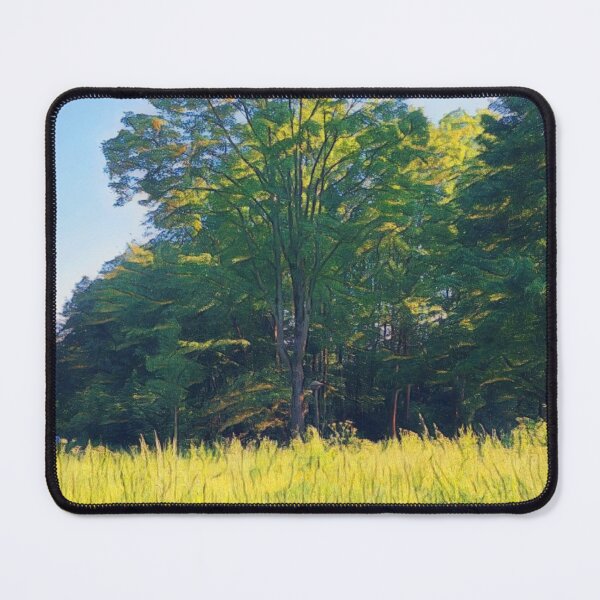 Item preview, #30 Rembrandt Park - Amsterdam Street Photography 22 May 2024 designed and sold by IntFix.