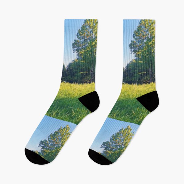 Item preview, #30 Rembrandt Park - Amsterdam Street Photography 22 May 2024 designed and sold by IntFix.