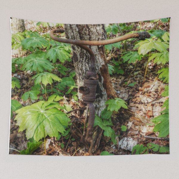 Item preview, Forgotten designed and sold by Frankie Cat Photography.