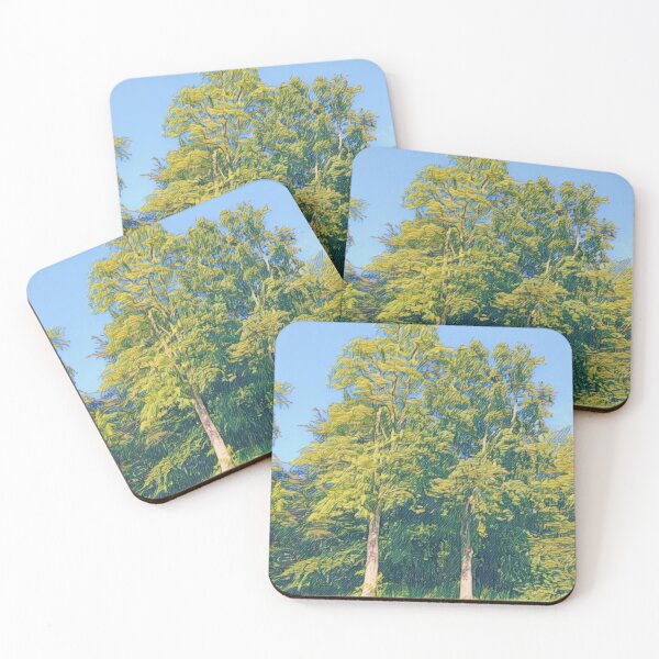 Item preview, #33 Rembrandt Park - Amsterdam Street Photography 22 May 2024 designed and sold by IntFix.
