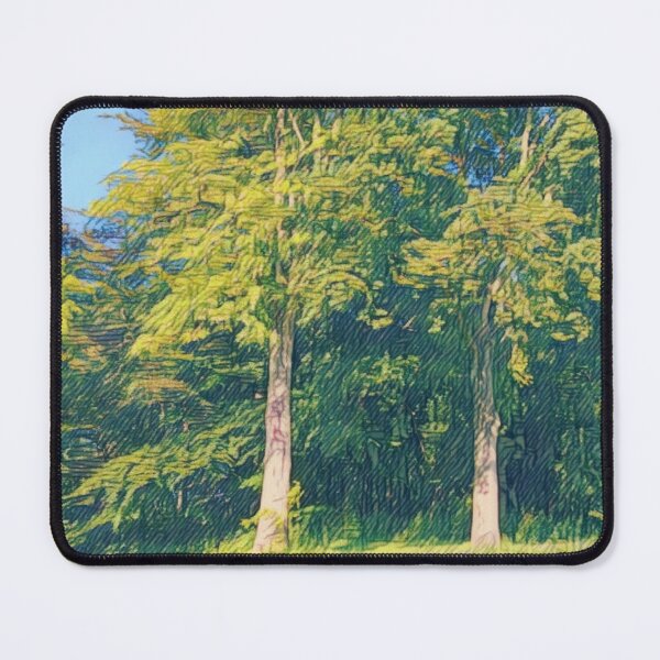Item preview, #33 Rembrandt Park - Amsterdam Street Photography 22 May 2024 designed and sold by IntFix.