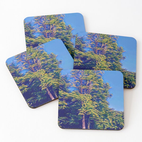 Item preview, #35 Rembrandt Park - Amsterdam Street Photography 22 May 2024 designed and sold by IntFix.