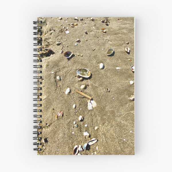 Item preview, Seashells on the Bayshore designed and sold by CJRPics.