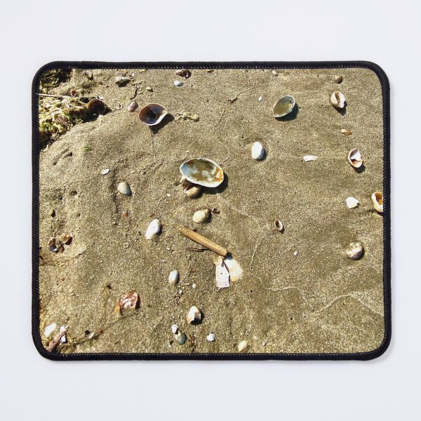 Item preview, Seashells on the Bayshore designed and sold by CJRPics.