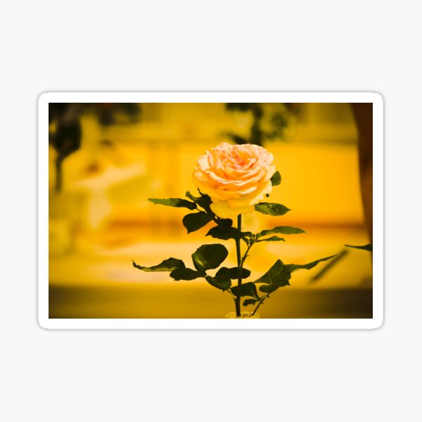 Rosey Sticker