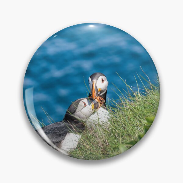 Item preview, Puffin at Cape Bonavista, Newfoundland 6 designed and sold by jrtwynam.